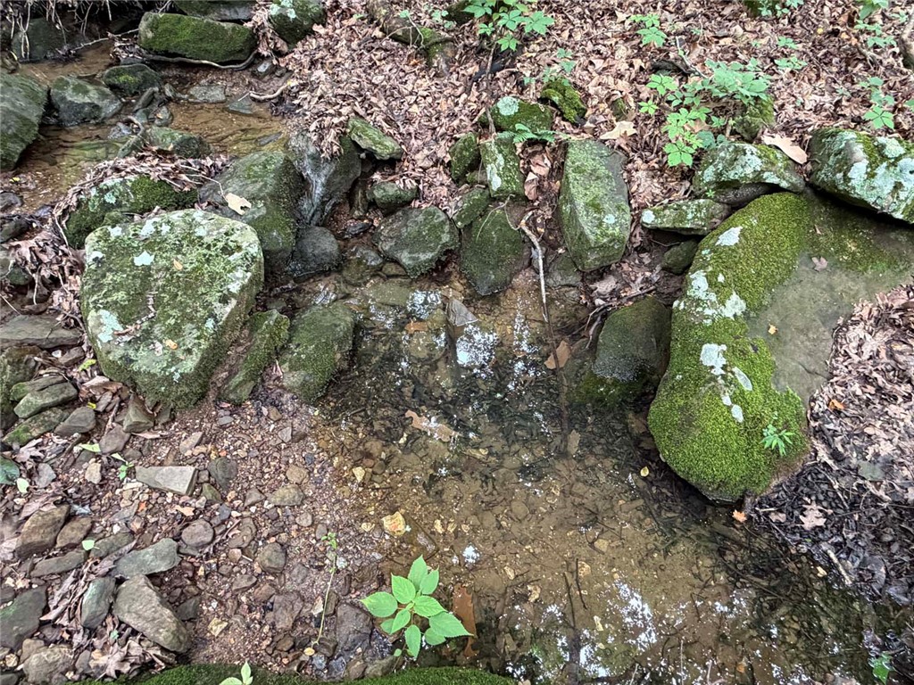 Image 23