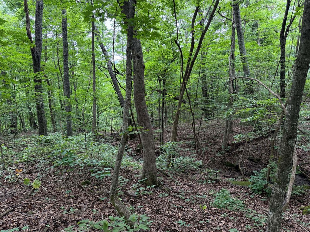 Image 25