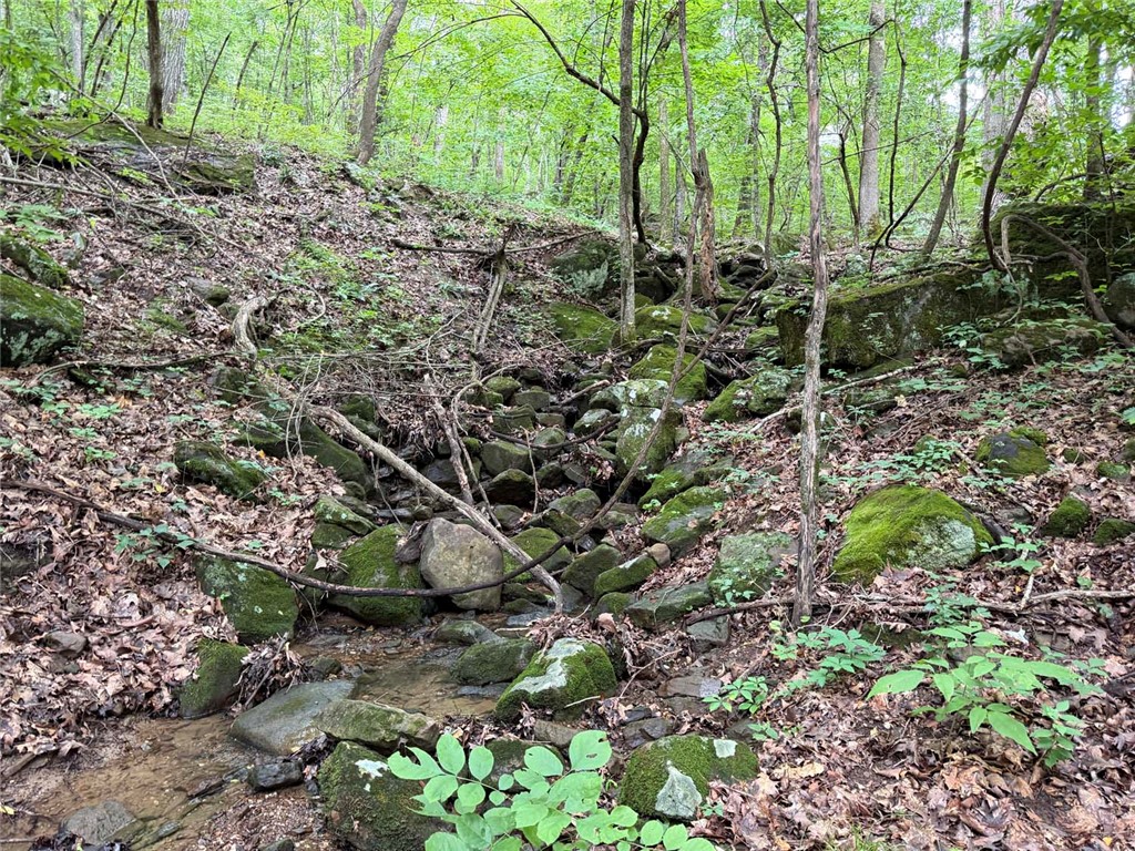 Image 26