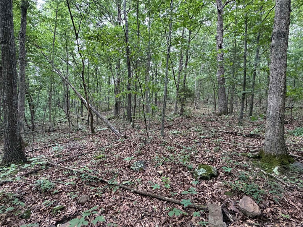 Image 31