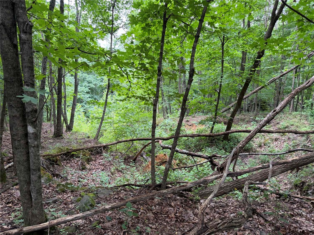 Image 33