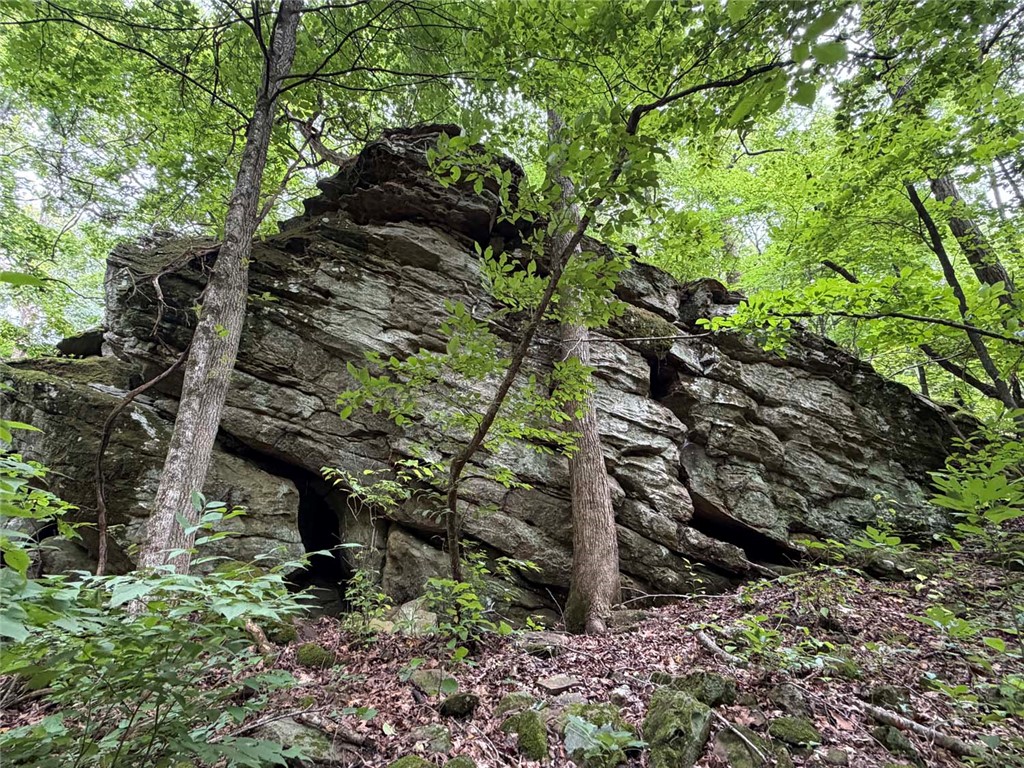 Image 14