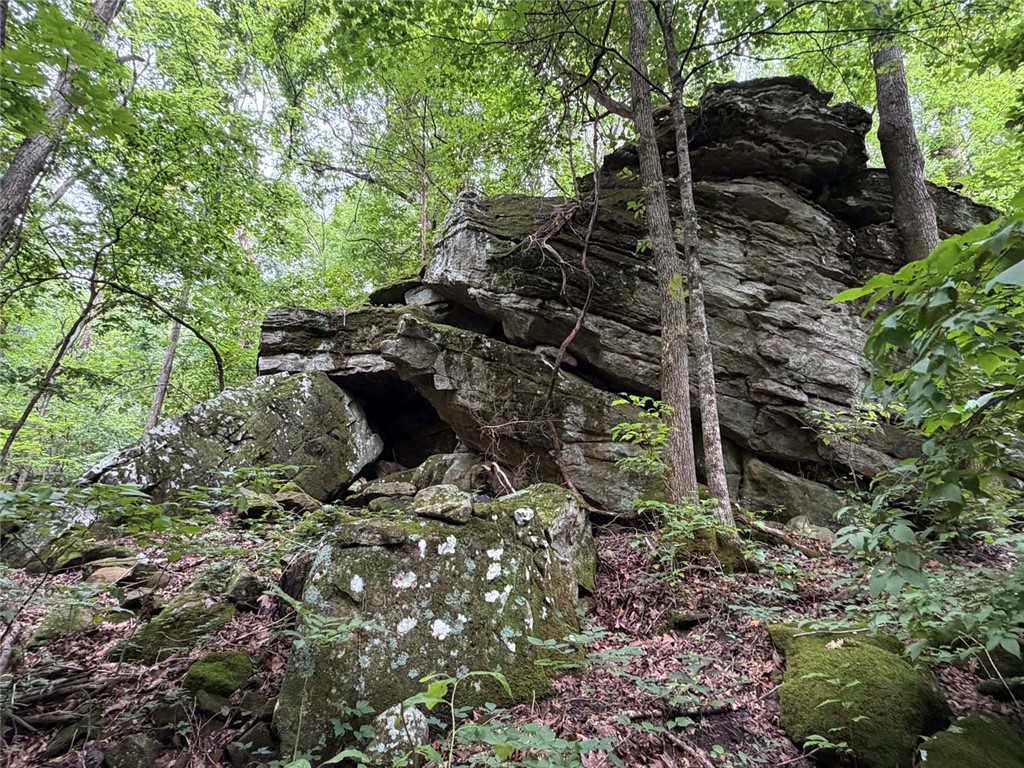 Image 15