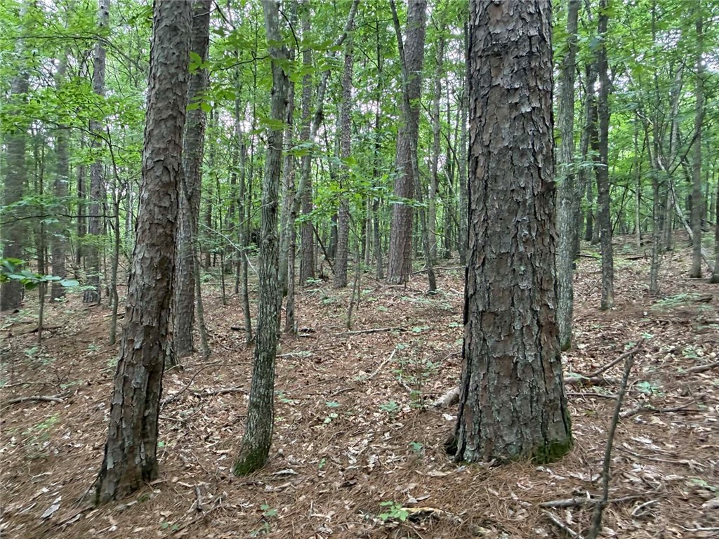 Image 17