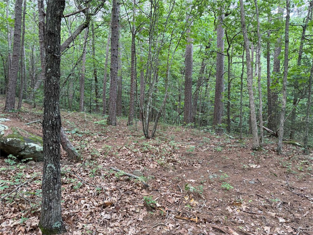 Image 18