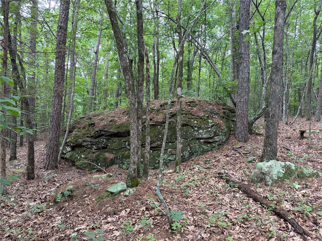 Image 19