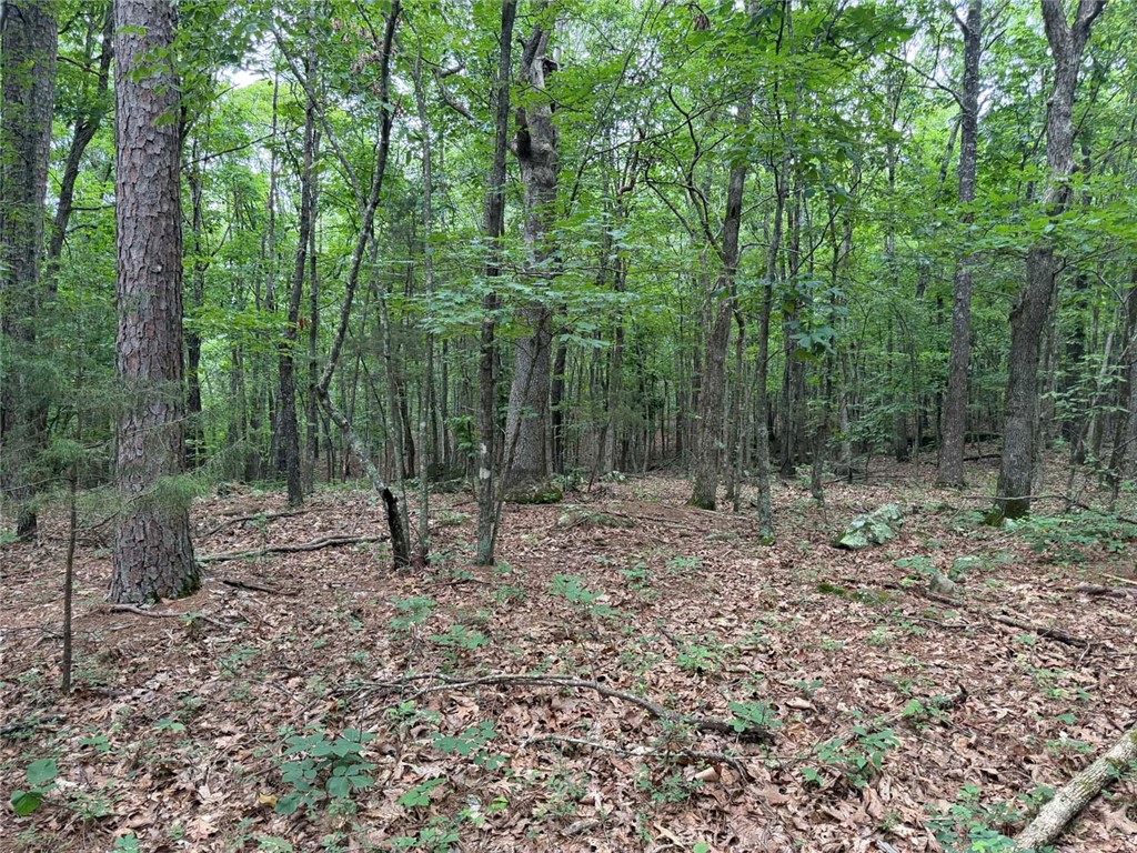 Image 21