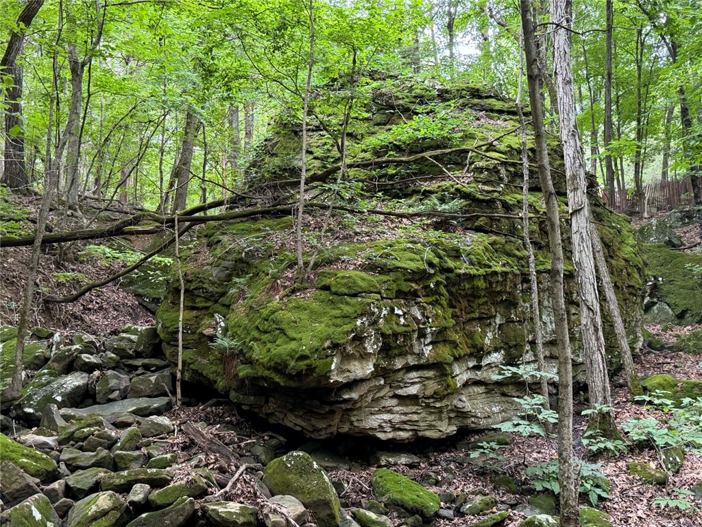 Image 31