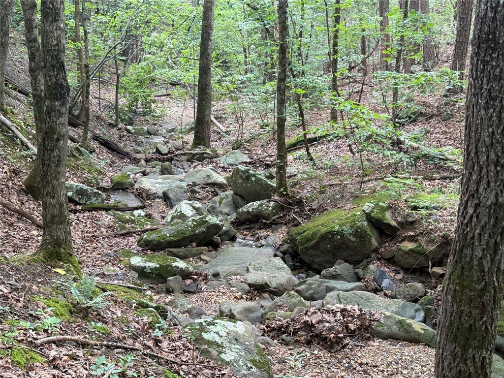 Image 32