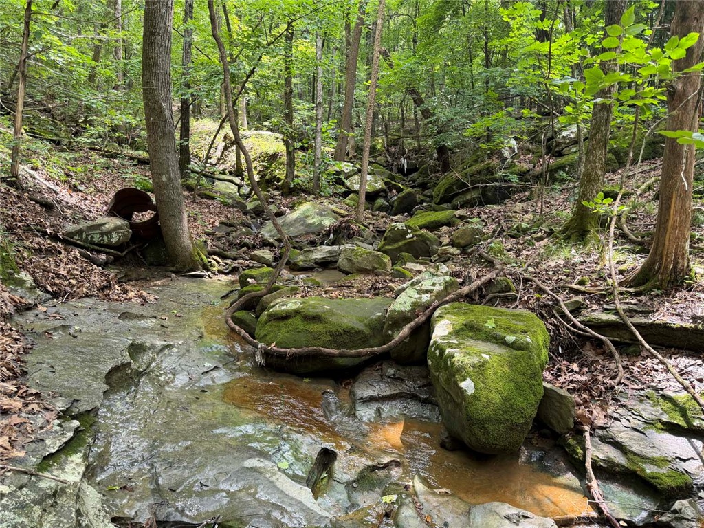 Image 33