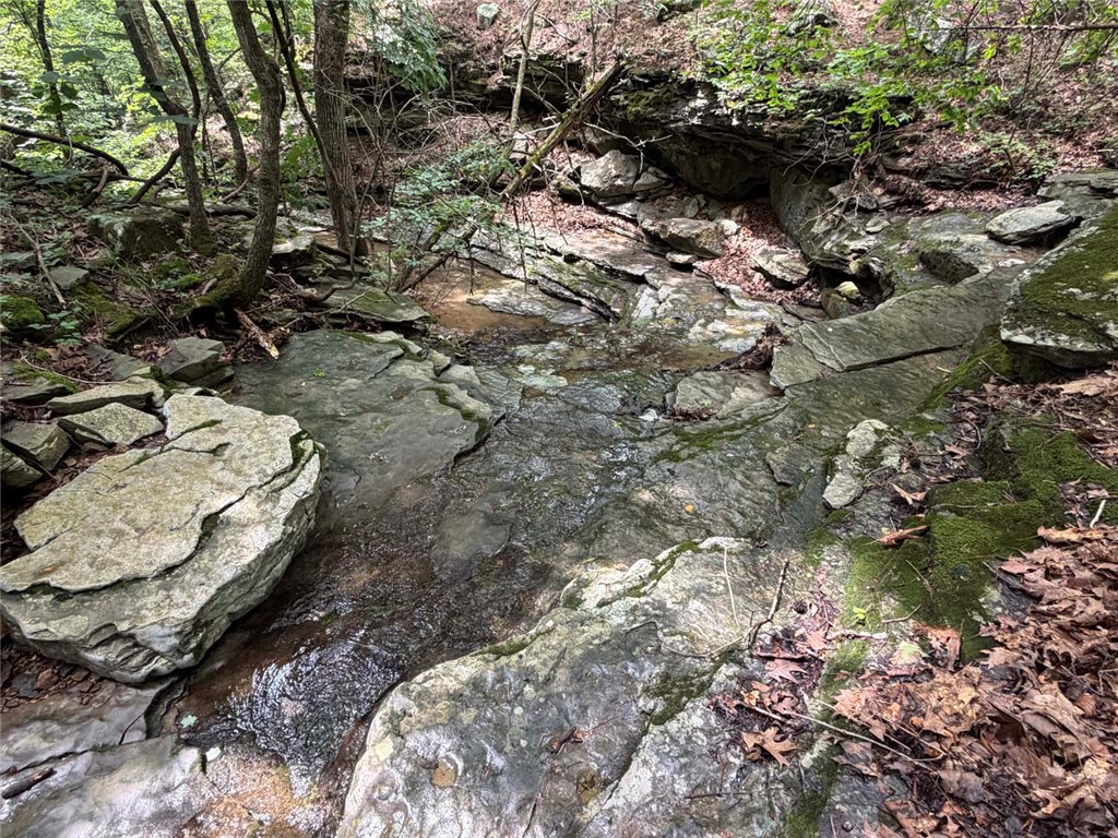 Image 35