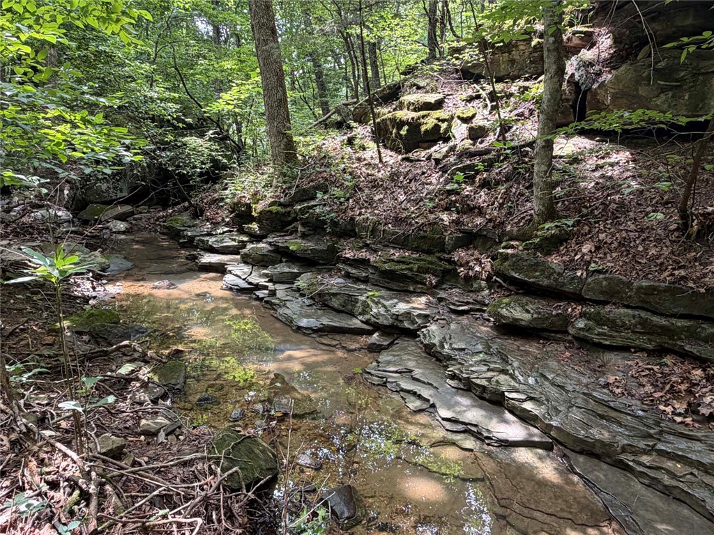 Image 36