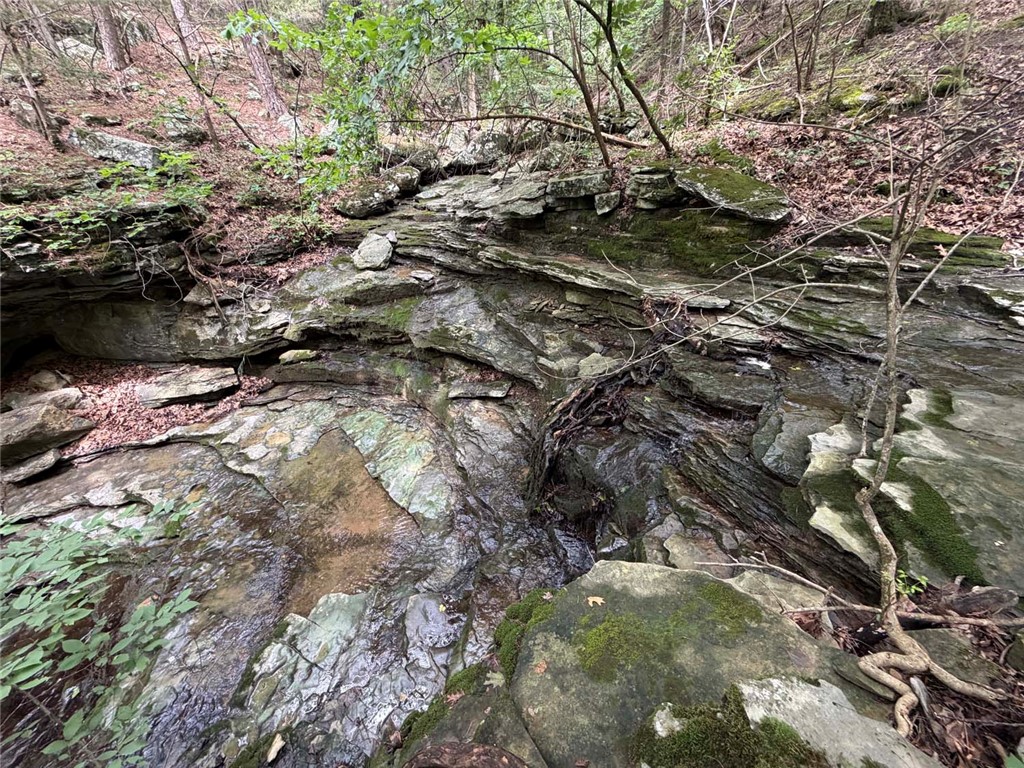 Image 42