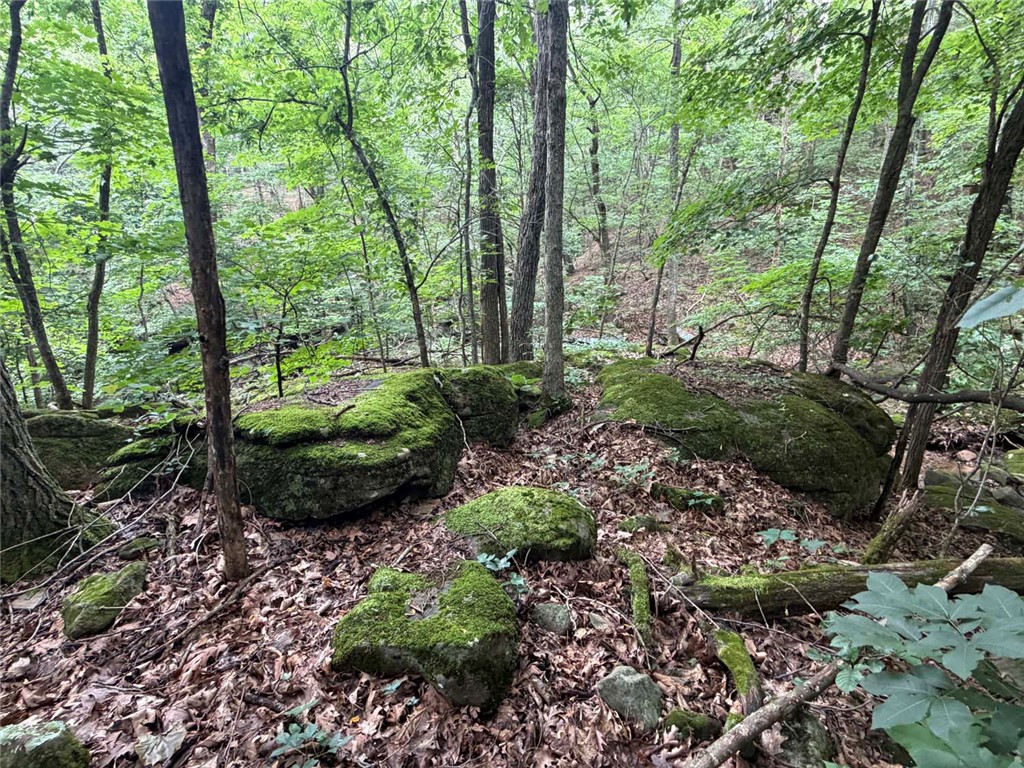 Image 43