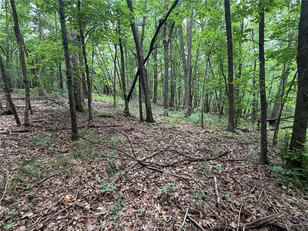 Image 45