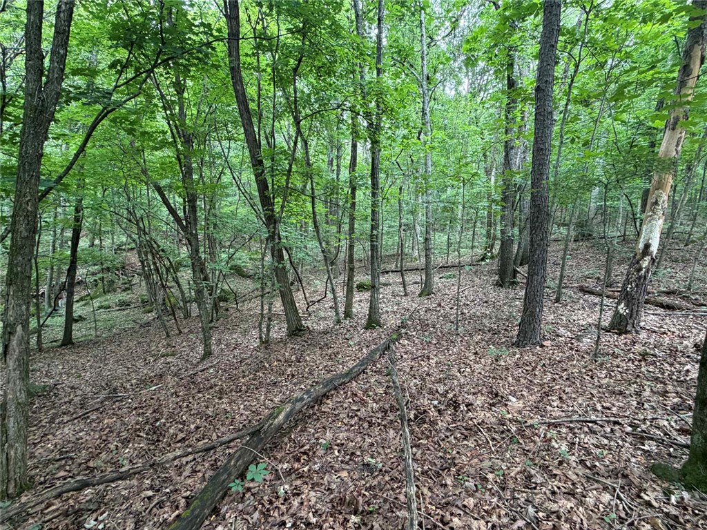 Image 46