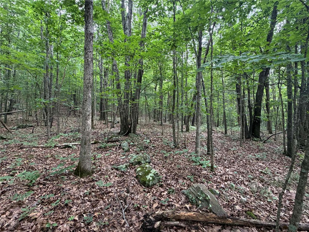 Image 47