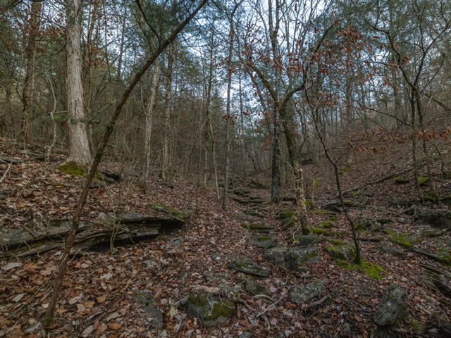 Image 11