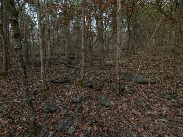 Image 13