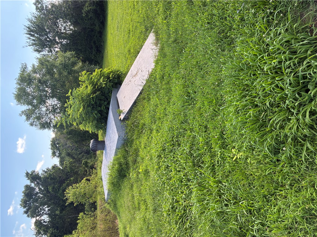 Image 14