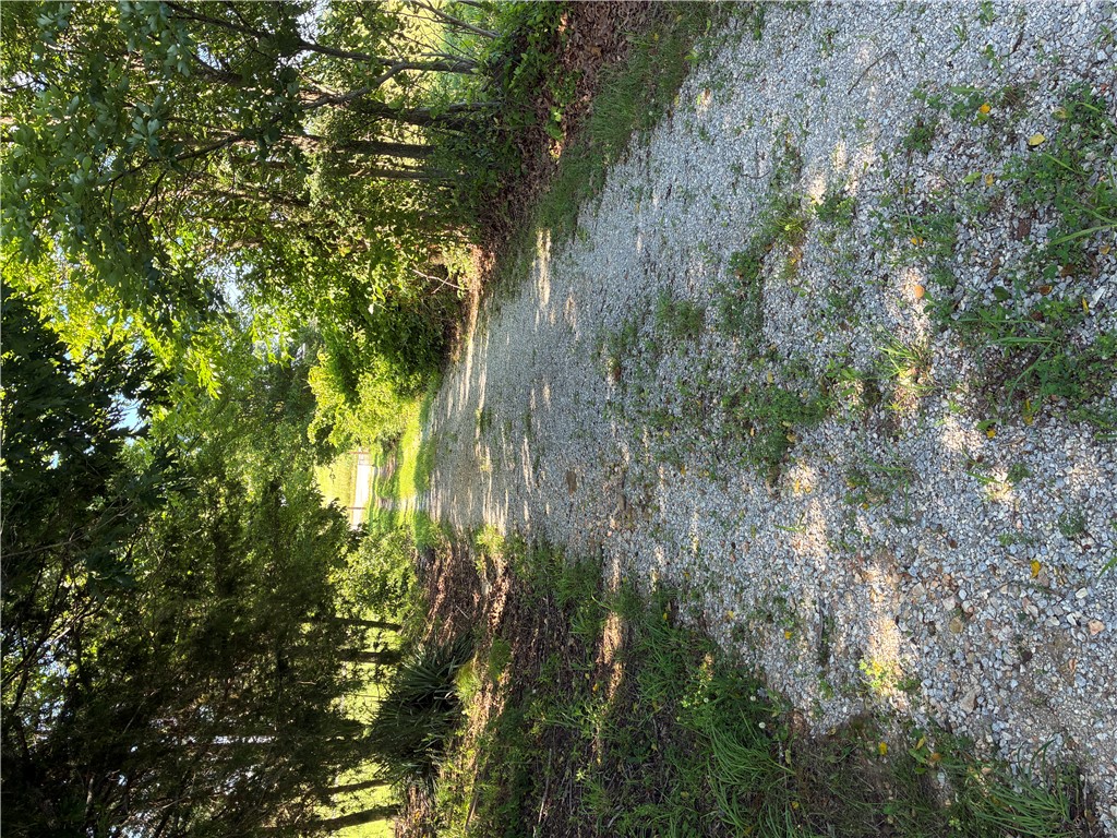 Image 16