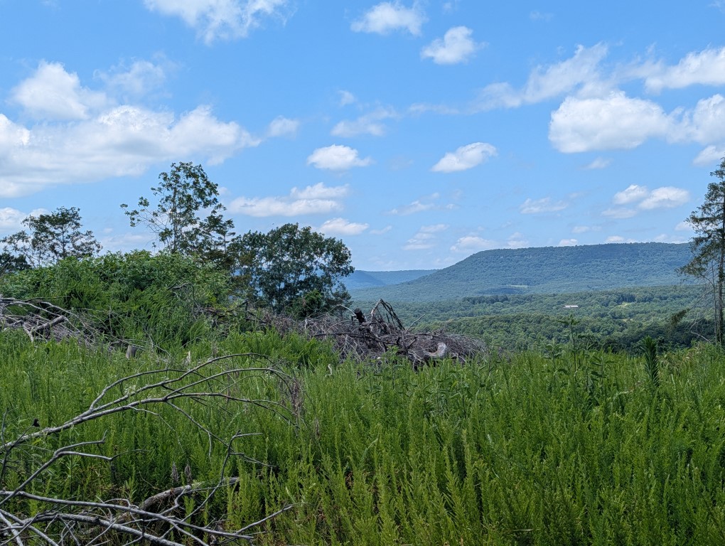 Image 6