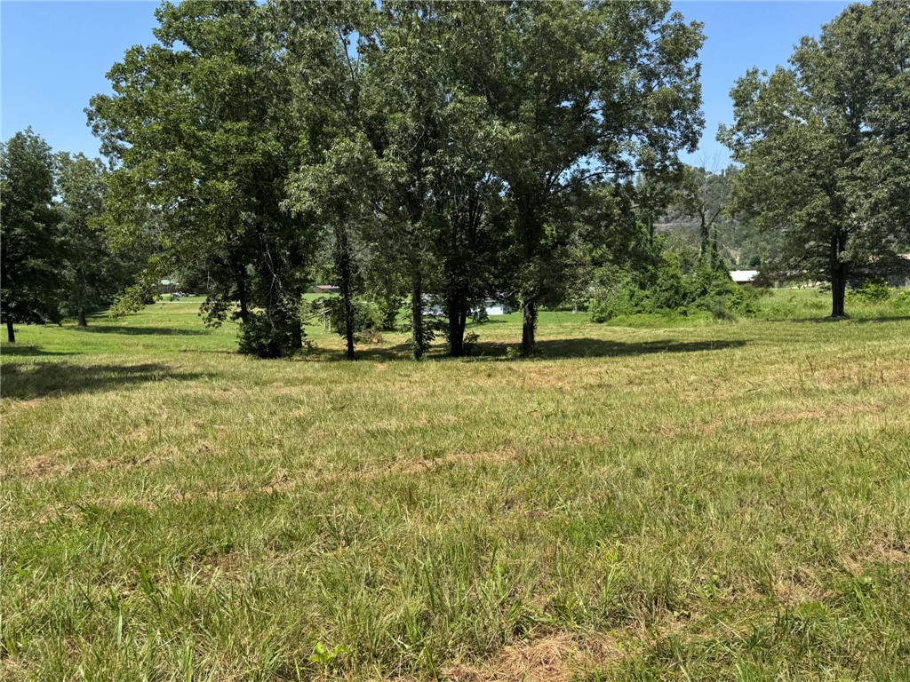 Image 19