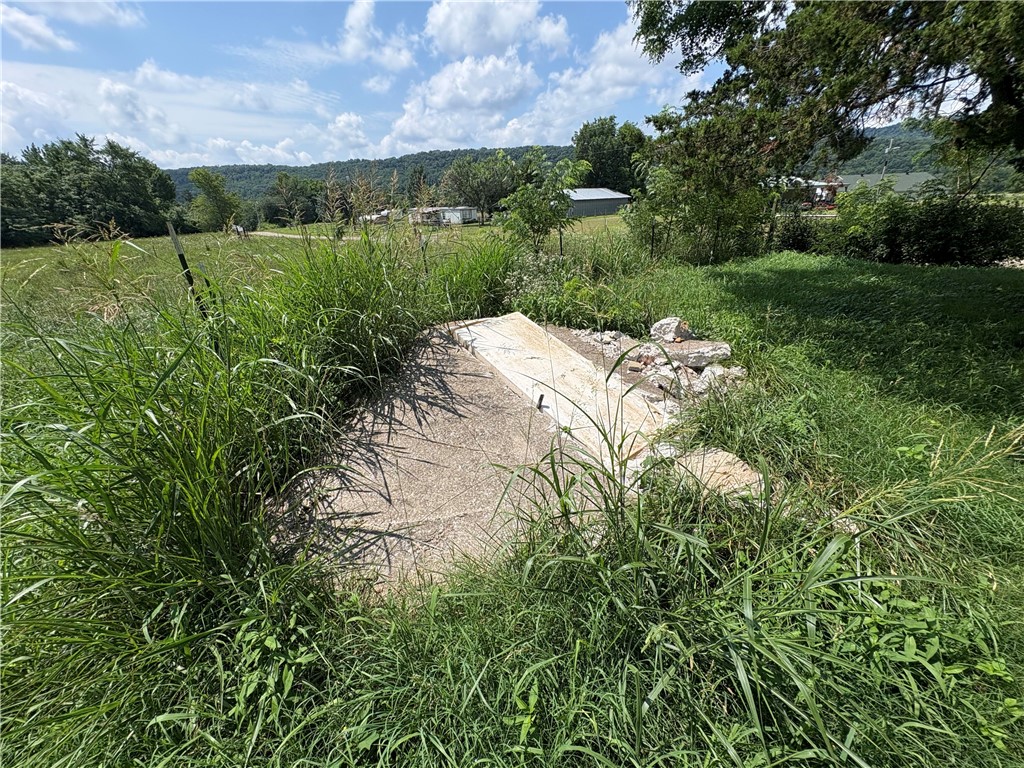 Image 16