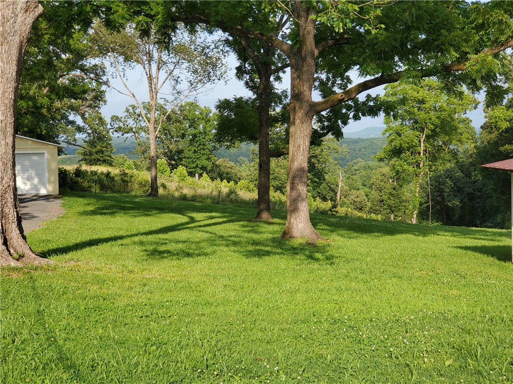 Image 18