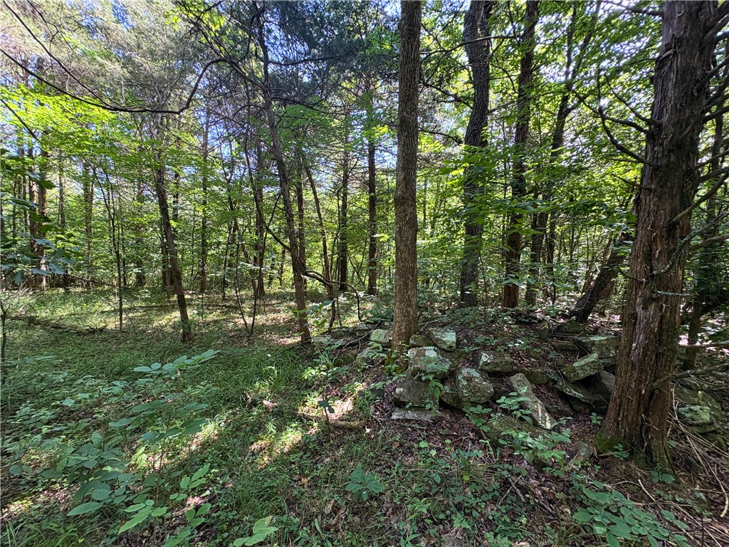 Image 13