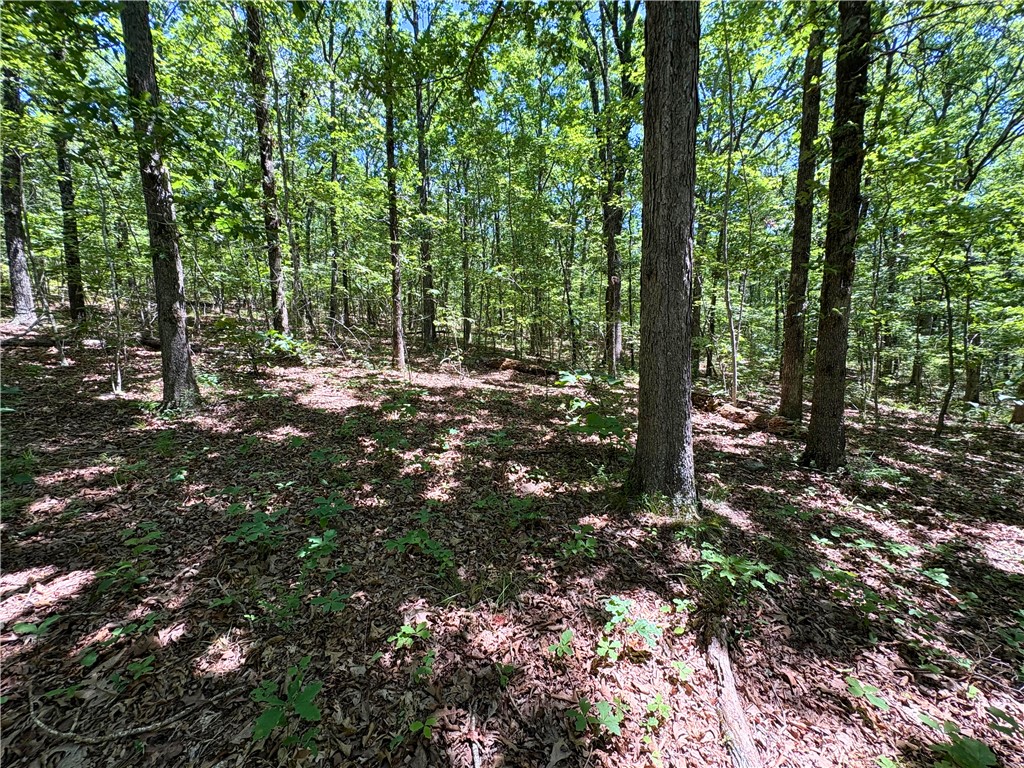 Image 14
