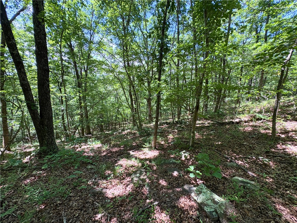 Image 15