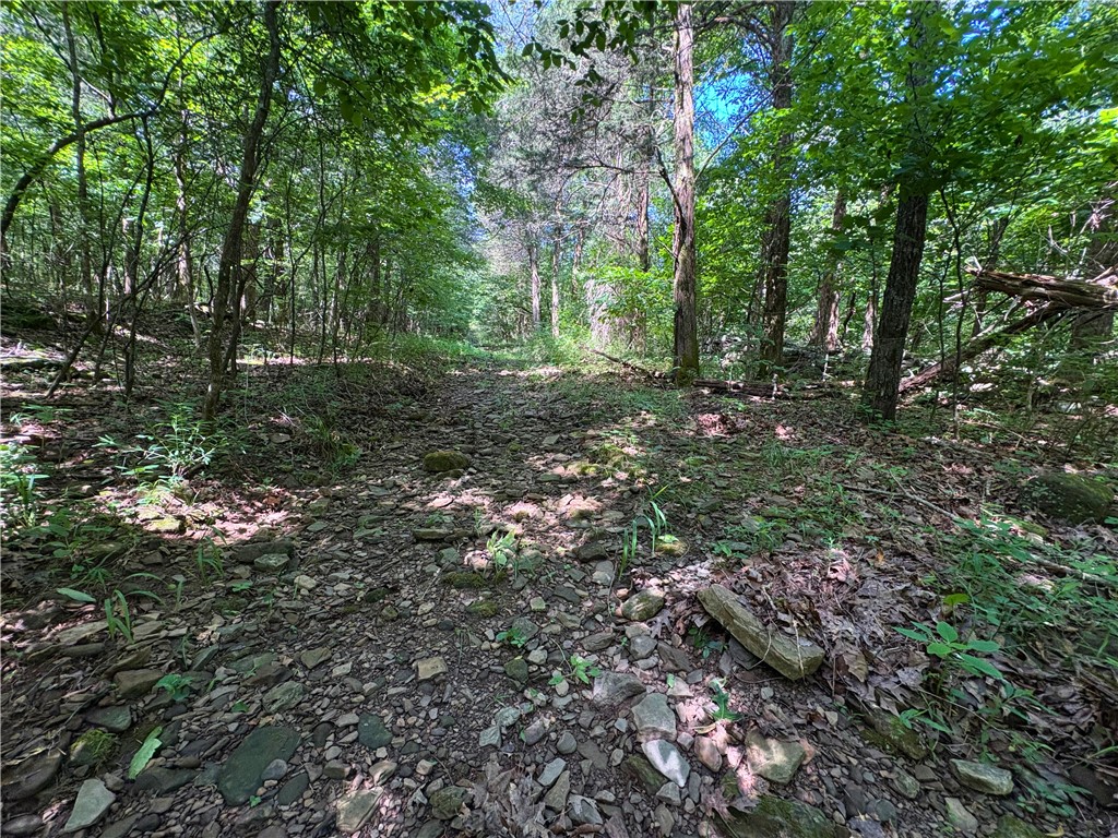 Image 18