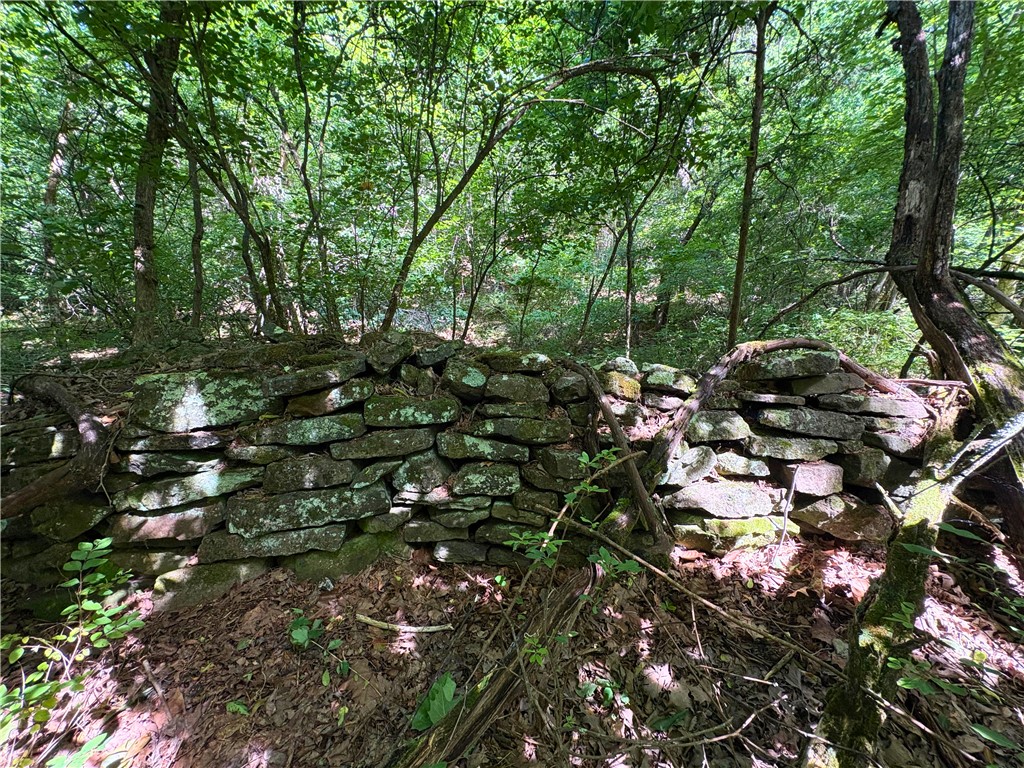 Image 22