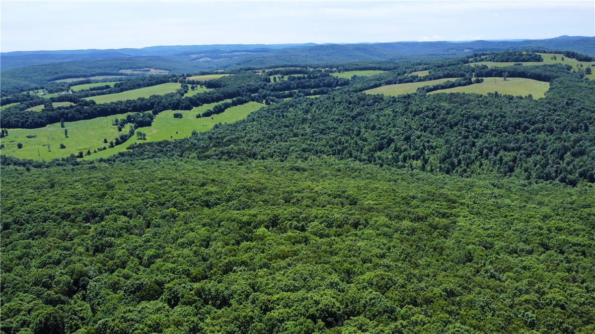 Image 32