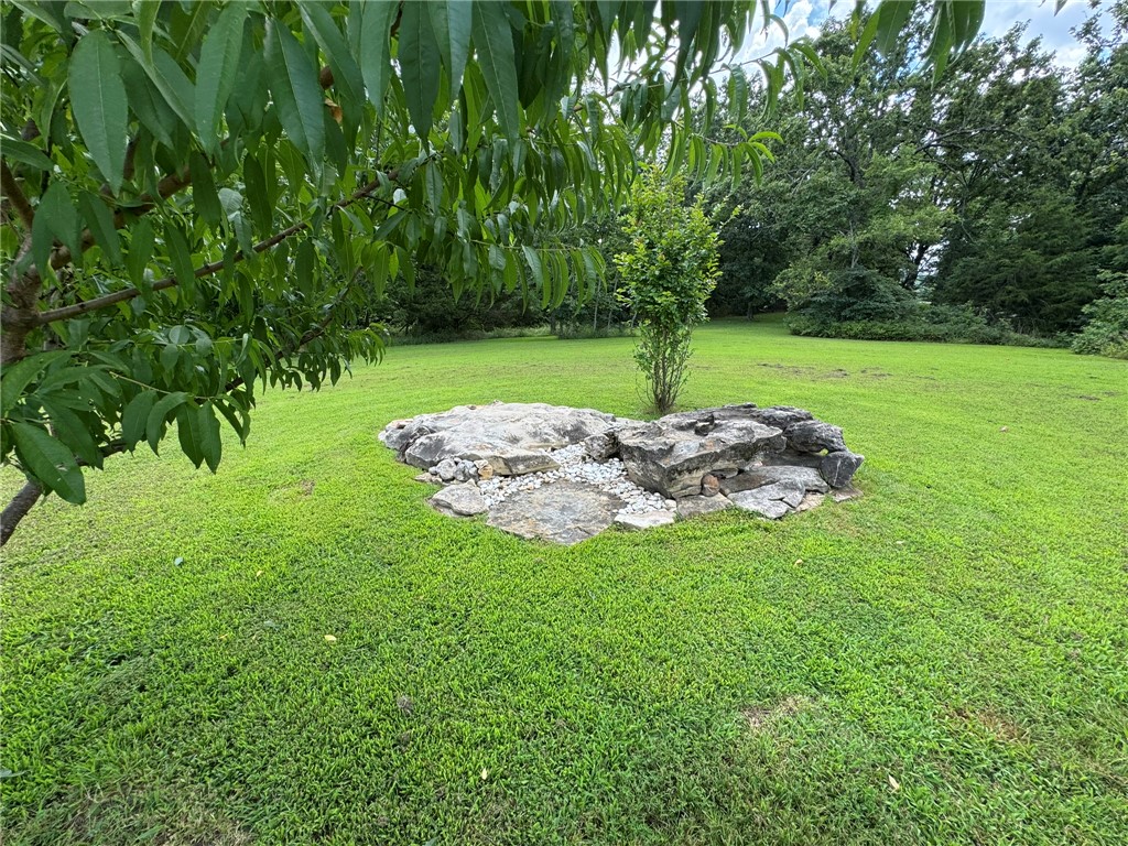 Image 24
