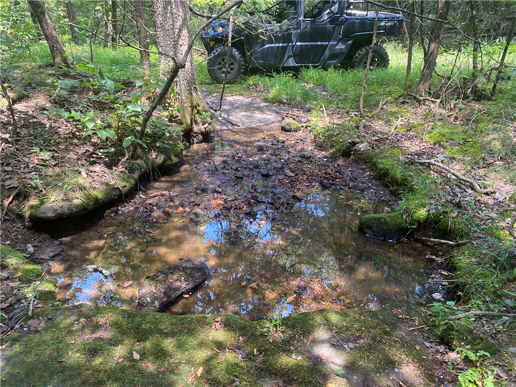 Image 13