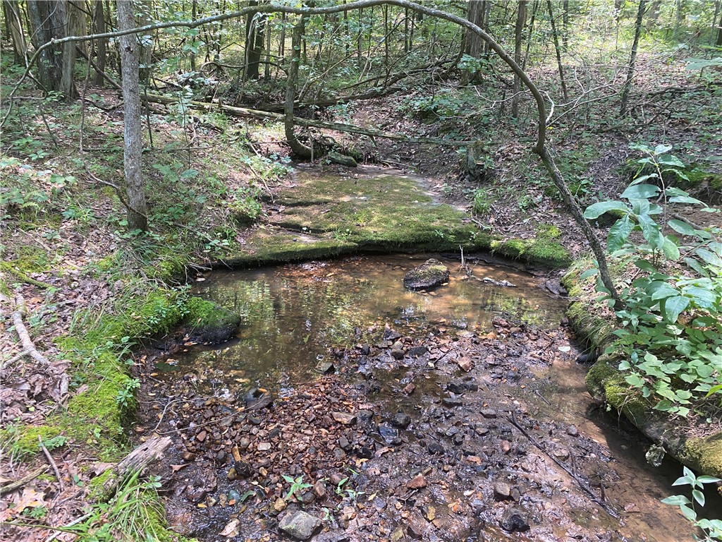 Image 14