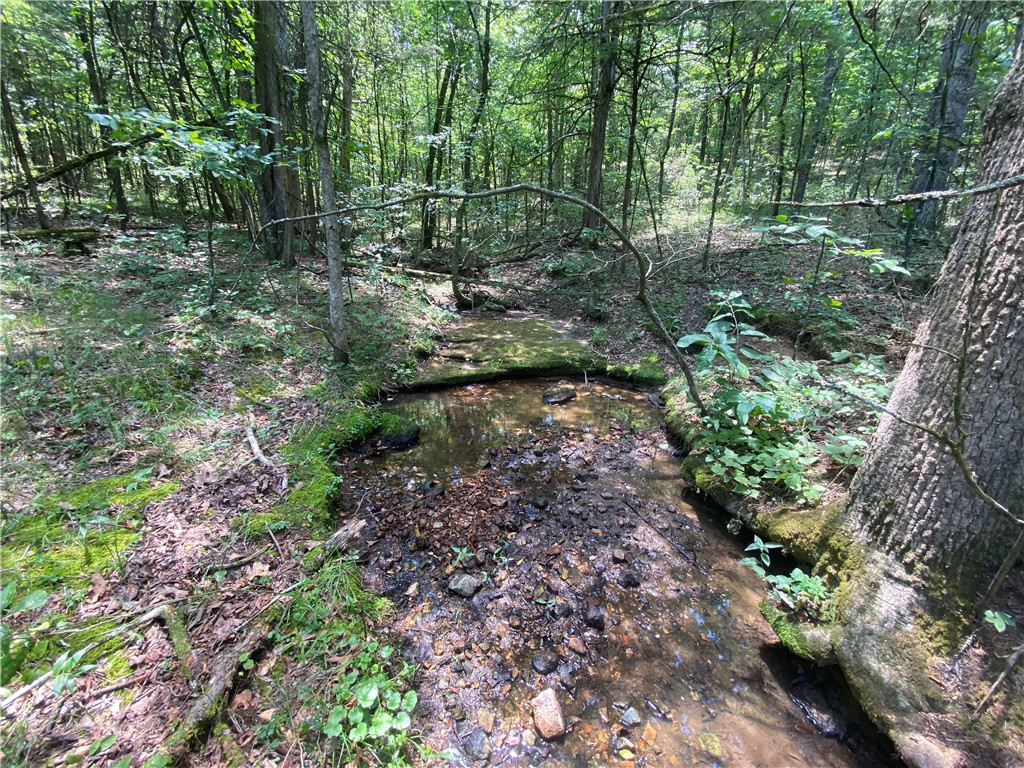 Image 15