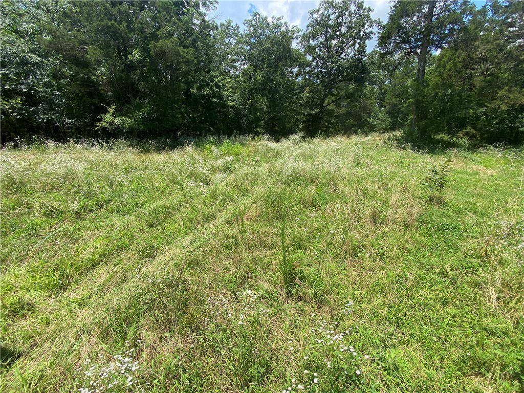 Image 18