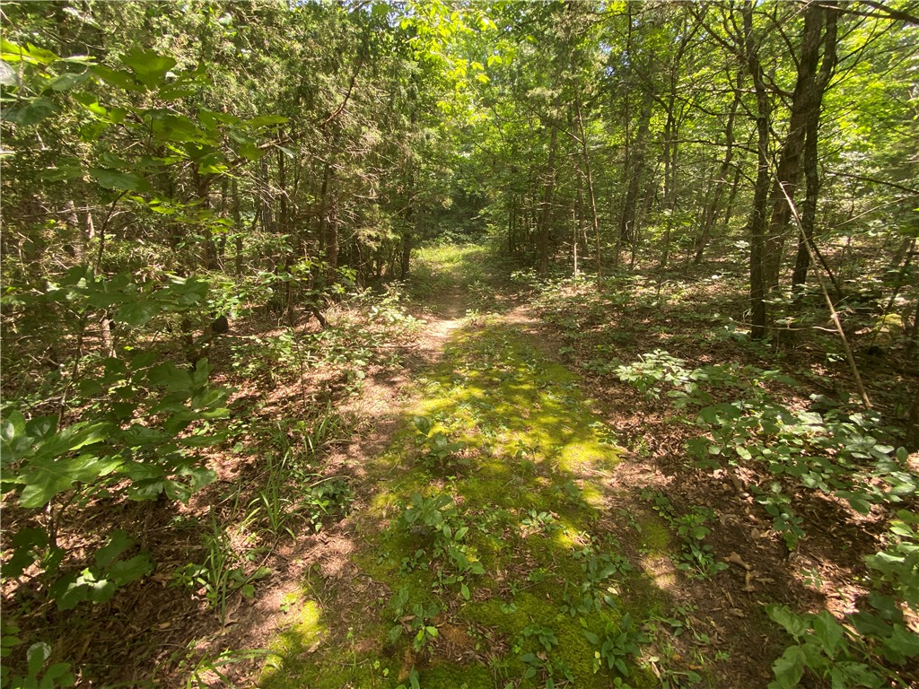 Image 21