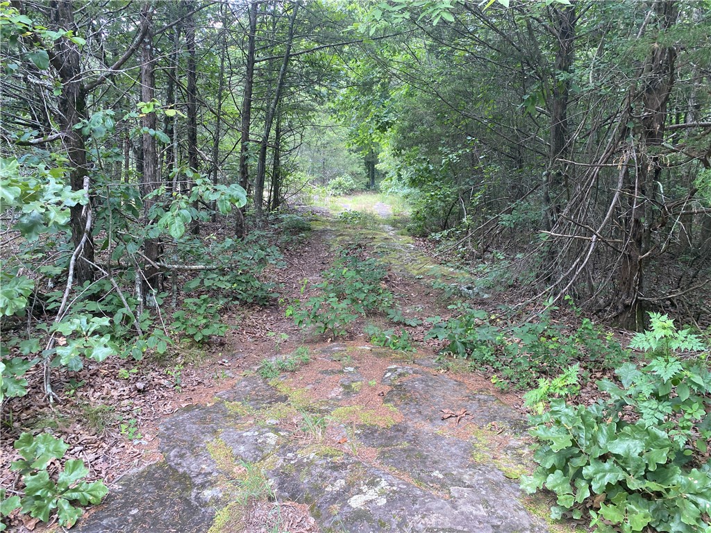 Image 23