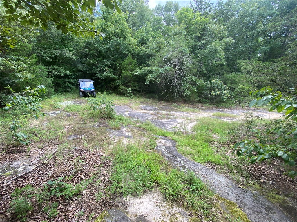 Image 24