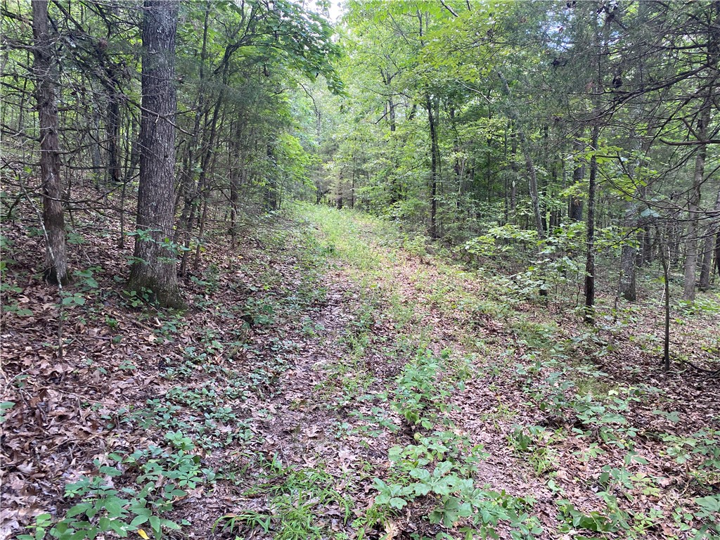 Image 30