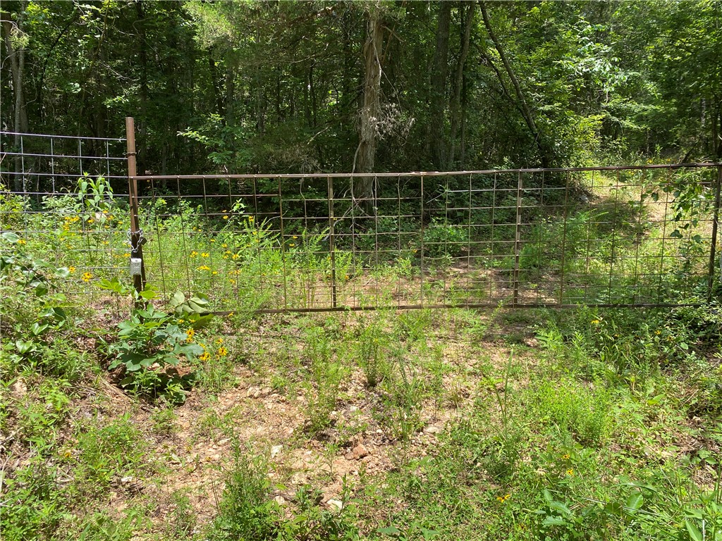 Image 33