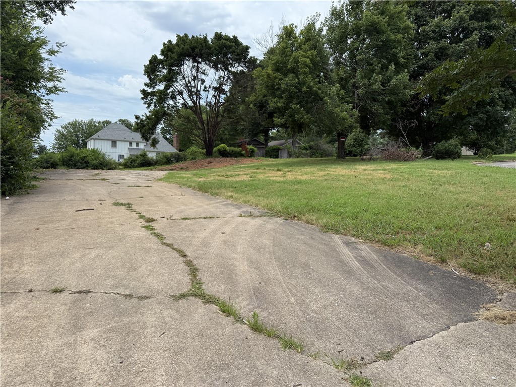 Image 4