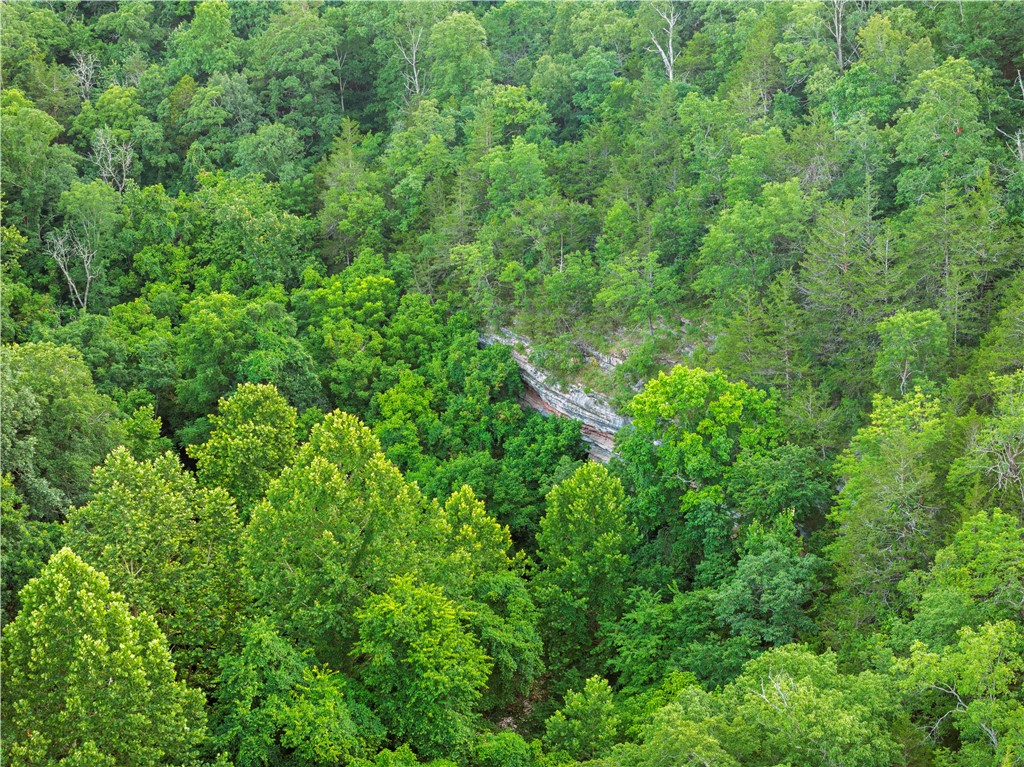 Image 15