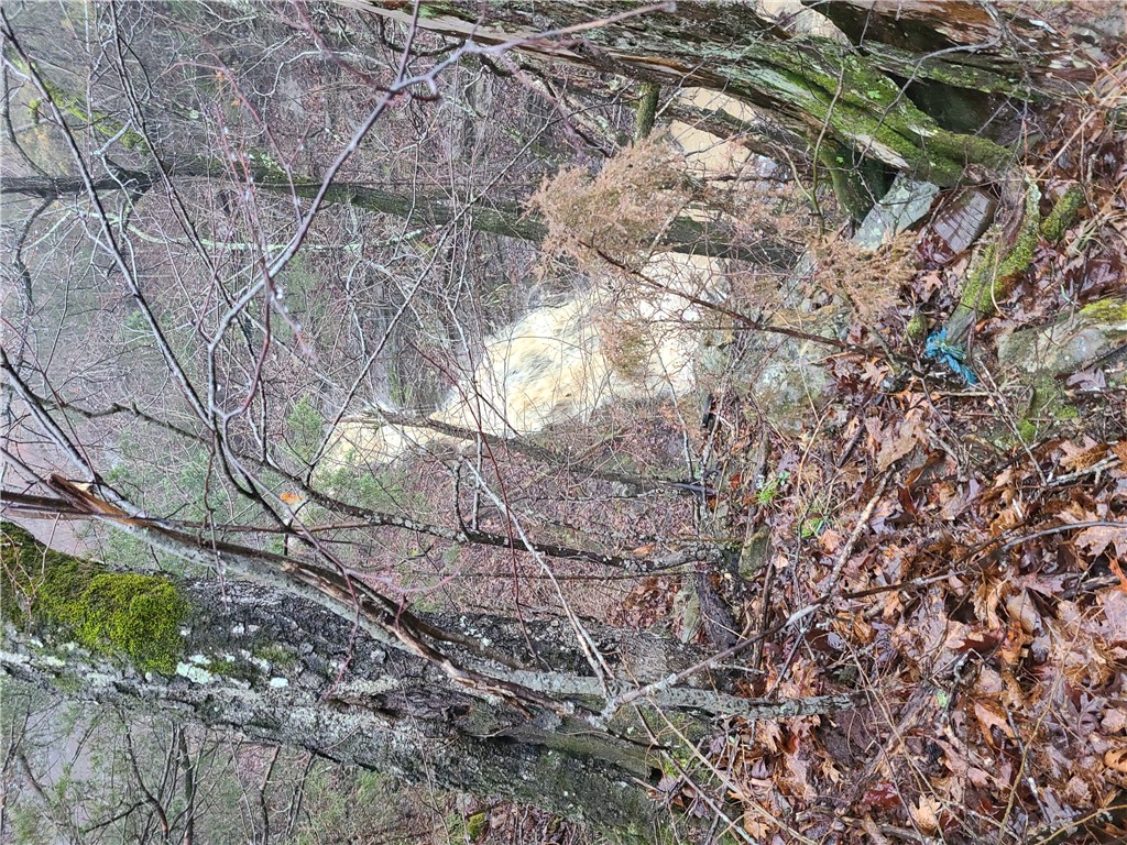 Image 16
