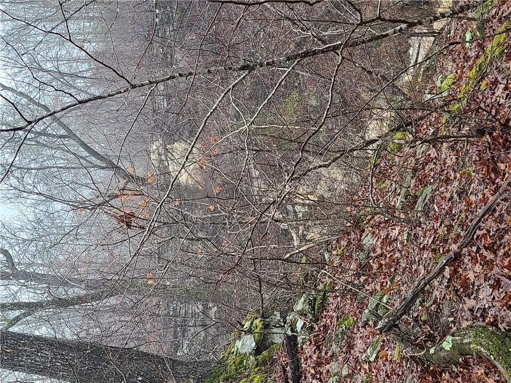 Image 17