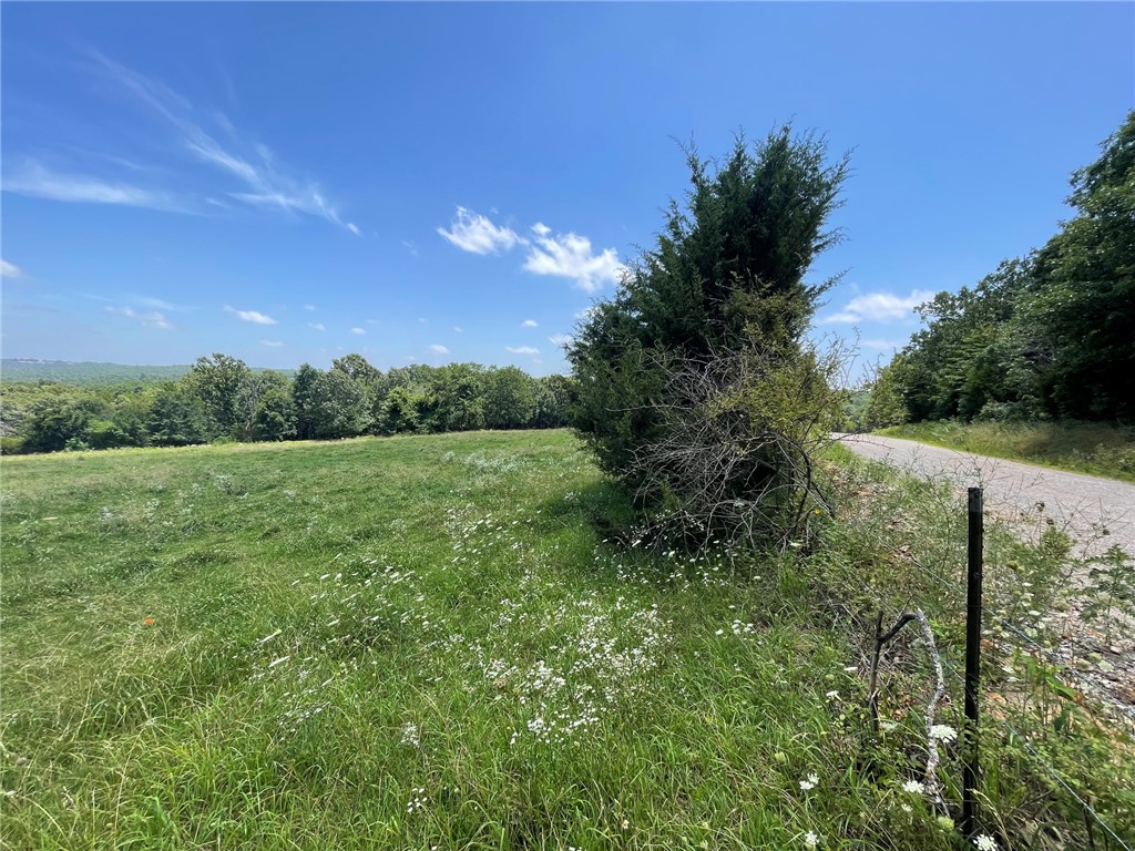 Image 12